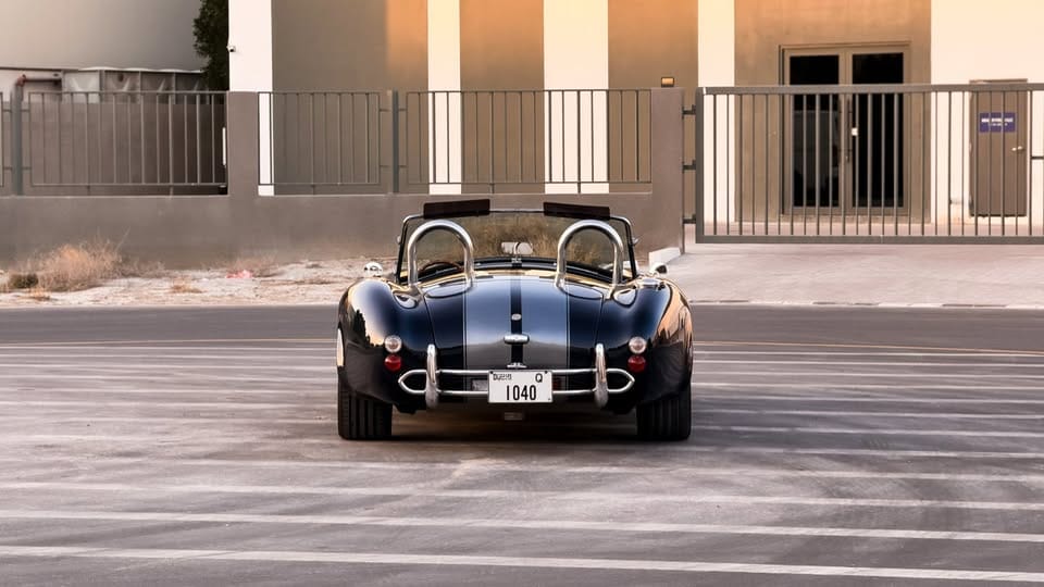 2015 Ford Shelby Cobra — photo 5 of 20
