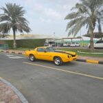 Chevrolet Camaro RS 1979 thumbnail 2