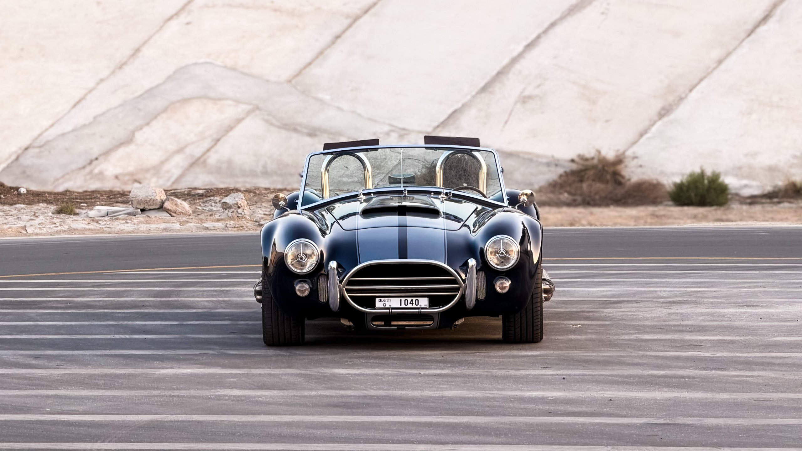 2015 Ford Shelby Cobra Replica for sale in Dubai, UAE – photo 3 of 19